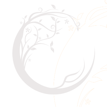 logo du site Lune de Miel Bali