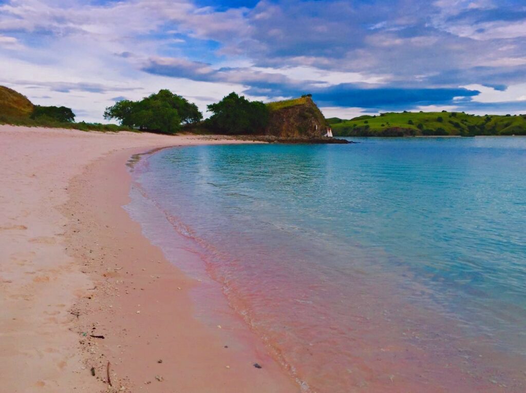 komodo pink beach